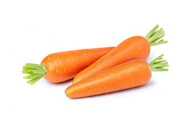Carrot